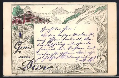 Lithographie Bern, Panorama mit Edelweiss