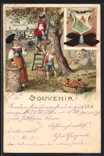 Lithographie Frauenfeld, Kakao Suchard, Bauernfamilie pflückt Äpfel, Wappen