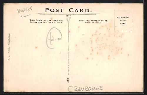 AK Cranborne, Banqueting Hall of the Manor