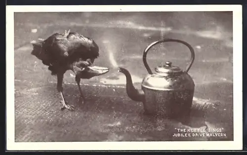 AK Malvern, The Kettle Sings, Jubilee Drive