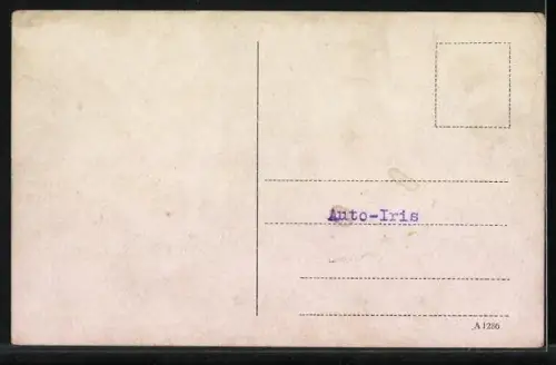 AK Brüx, Landeswarte am Schlossberg