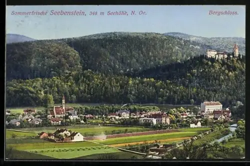 AK Seebenstein /N. Oe., Teilansicht mit Bergschloss