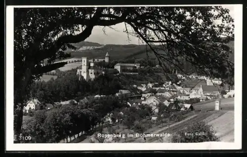 AK Rosenberg, Panorama