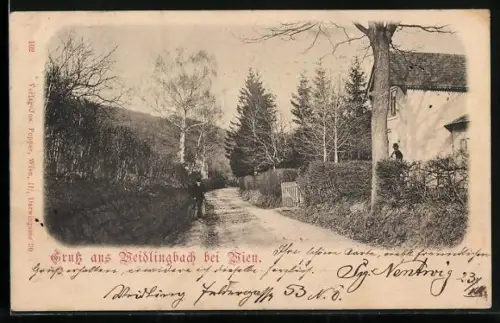 AK Weidlingbach bei Wien, Strassenpartie mit Wohnhaus