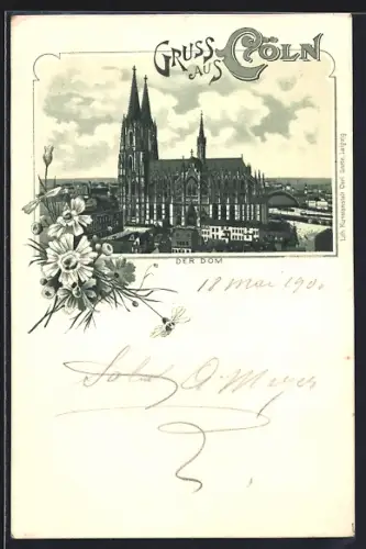 Lithographie Cöln, Dom mit Umgebung, Blumen