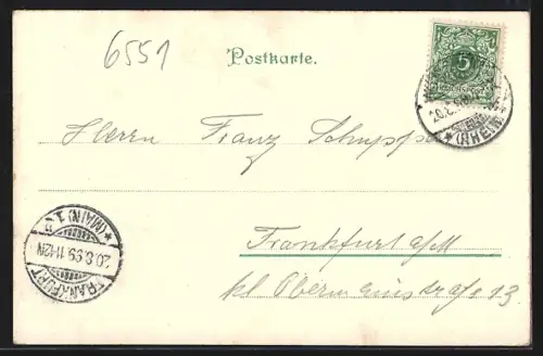 Lithographie Rüdesheim am Rhein, National-Denkmal, Blick auf Mäusethurm, Ehrenfels u. Rossel, Schloss-Rheinstein