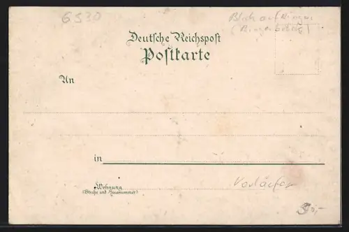 Lithographie Bingen / Rhein, Niederwalddenkmal, Blick über den Ort, Eremitage