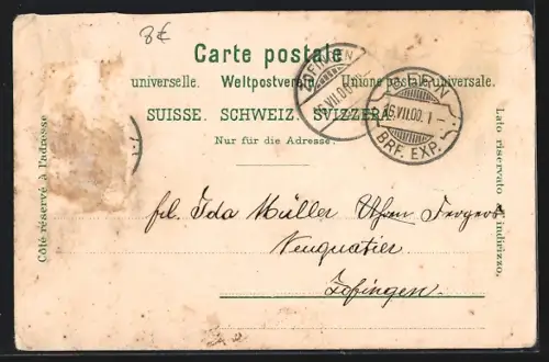 Lithographie Bern, Bärengraben mit Bären u. Publikum