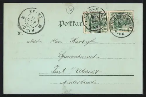 Lithographie Rüdesheim am Rhein, Nationaldenkmal a. d. Niederwald, Mündung der Nahe, Mäuseturm um 1900