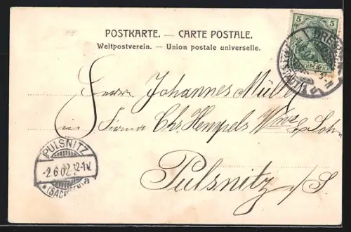 AK Dresden, Albertinum