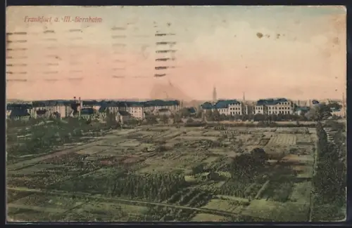 AK Frankfurt a. M.-Bornheim, Blick auf Wohnhäuser und Gärten