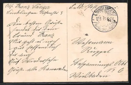 AK Frankfurt-Sindlingen, Totalansicht, Lindenhaus