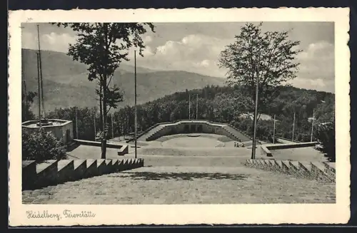 AK Heidelberg / Neckar, Blick auf die Feierstätte