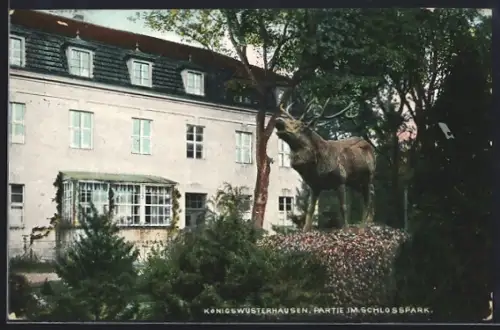 AK Königswusterhausen, Partie im Schlosspark