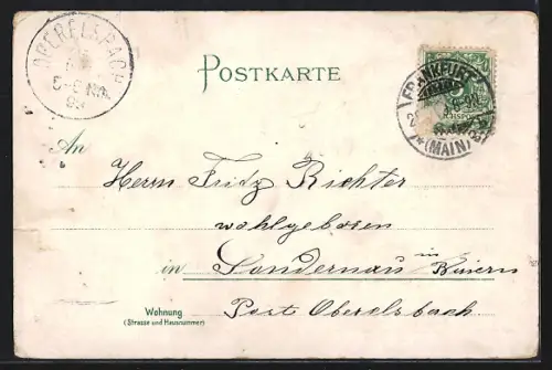 Lithographie Frankfurt a /M., Mainansicht, Opernhaus, Neue Peterskirche