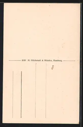 AK Neumünster, Altes Haus in der Mühlenstrasse