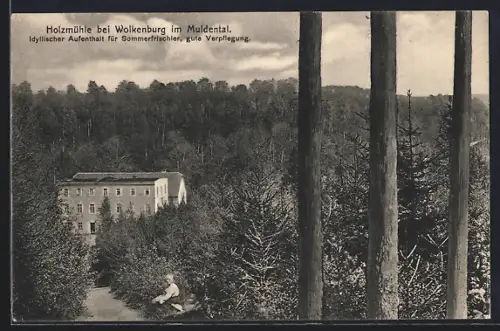 AK Wolkenburg im Muldental, Pension Holzmühle