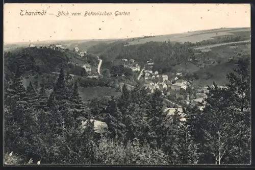 AK Tharandt, Blick vom botanischen Garten