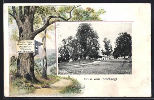 AK Gratwein-Strassengel, Gruss vom Pleschkogl, Blasius Gratz Gasthaus Zum Pleschwirt