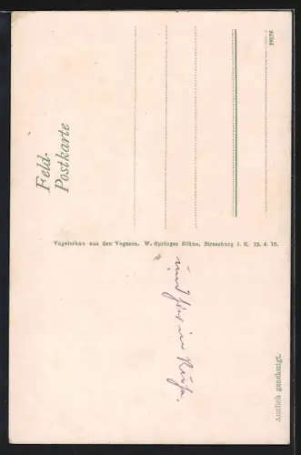 Künstler-AK Gebweiler /Vogesen, Vogelschau aus den Vogesen mit Metzeral, Mühlbach, Belchen