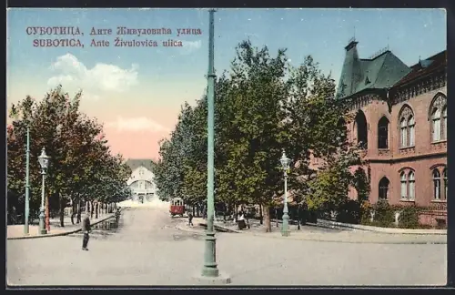 AK Subotica, Ante Zivulovica ulica