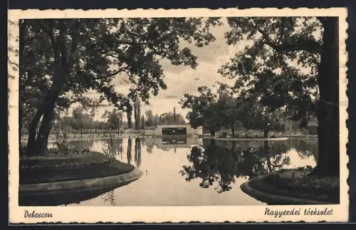 AK Debrecen, Nagyerdei tórészlet