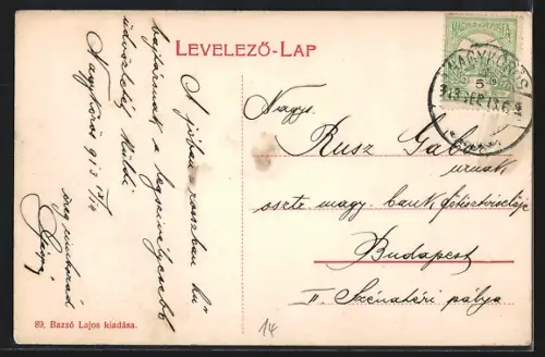 AK Nagykörös, Ortsansicht mit Fabrikschornstein auf Gurken-Passepartout