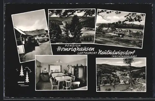 AK Neuludwigsdorf /Hochsauerland, Pension Homrighausen
