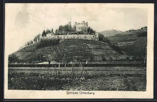 AK Ortenberg / Offenburg, Schloss Ortenberg