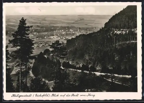 AK Heiligenstadt /Eichsfeld, Blick auf die Stadt vom Berg