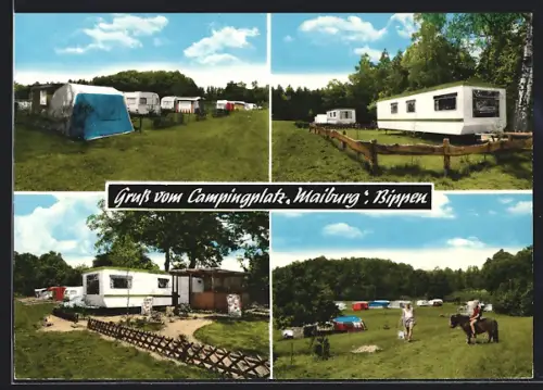 AK Bippen /Bersenbrück, Campingplatz Maiburg, Inh. H. Fenstermann
