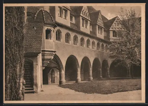 AK Halle /Saale, Innenhof mit Baum