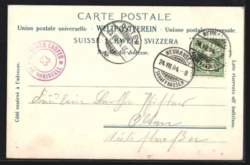 AK Rheinfall und Schloss Laufen