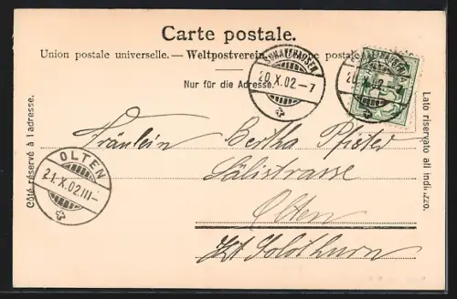 AK Fischetz, Rheinfall mit Aussichtsplattform