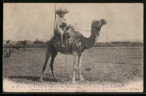 AK Chambba et son Mehari