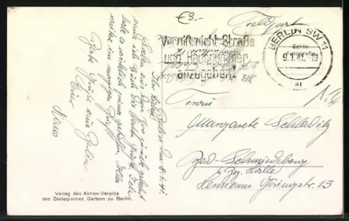 AK Berlin, Mähnenlöwe im Zoologischen Garten