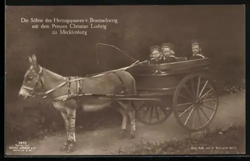 AK die Söhne desHerzogpaares v. Braunschweig mit Prinzen Christian Ludwig in einer Kutsche mit Esel