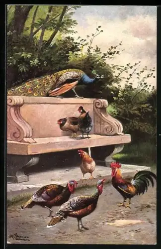 Künstler-AK Alfred Schönian: Pfau beobachtet die pickenden Hühner