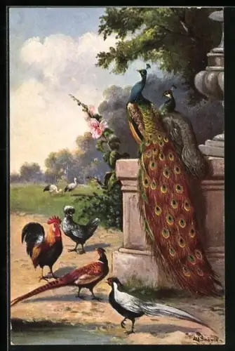 Künstler-AK Alfred Schönian: Pfaue, Hühner und Störche in einem Park