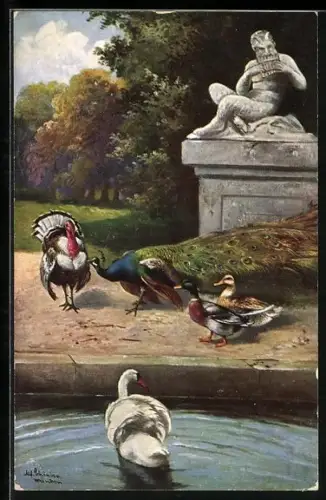 Künstler-AK Alfred Schönian: Pfau, Pute, Schwan und Enten an einem Teich