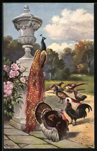 Künstler-AK Alfred Schönian: Pfau, Truthahn und Fasane im Garten