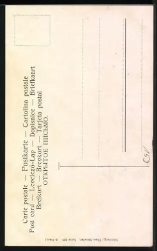 Künstler-AK Alfred Schönian: Pfau, Truthahn und Fasane im Garten