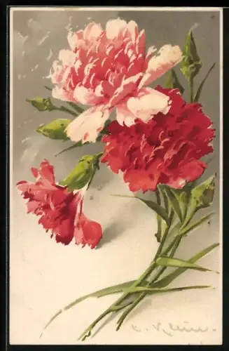 Künstler-AK Catharina Klein: Drei blühende Nelken mit Knospen
