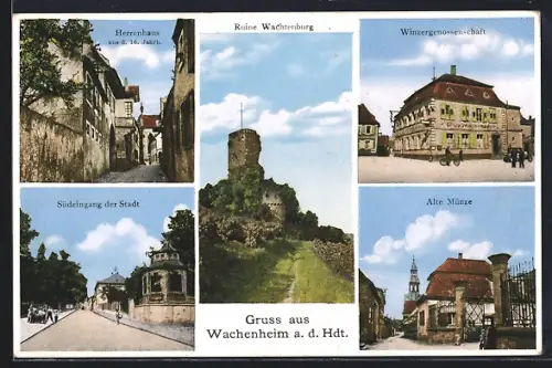 AK Wachenheim a. d. Hdt., Gasthaus Alte Münze, Wachtenburg, Herrenhaus, Winzergenossenschaft