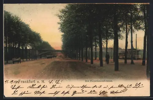 AK Frankfurt-Sachsenhausen, Forsthausstrasse, Allee, Strassenbahn