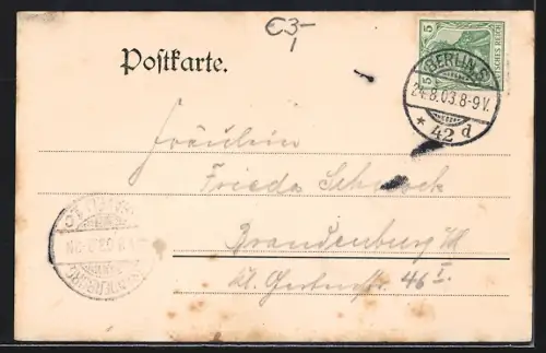 AK Berlin, Frontalansicht Königliches Museum, Droschken