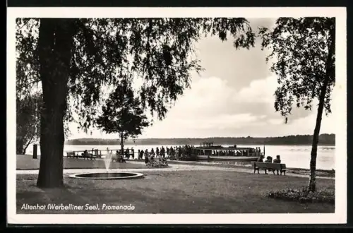 AK Altenhof / Werbellinsee, Promenade mit Springbrunnen und Dampferanlegestelle