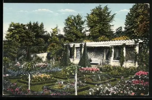 AK Brandenburg /Havel, Rosengarten