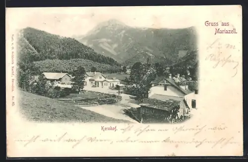 AK Mariazell, Kernhof