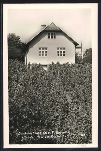 AK Wien, Dornbach, Gasthaus Buschenschenke St. u. F. Buczolich